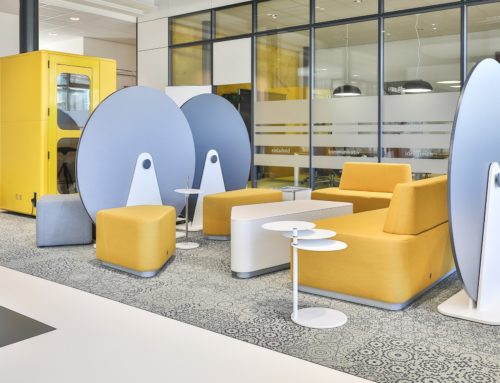 Nouveau HALLO Acoustic +